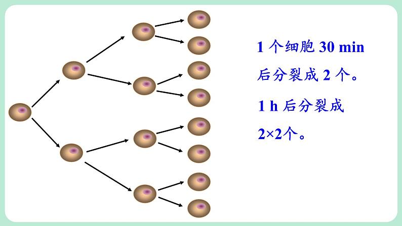 2.4 有理数的乘方 第1课时 课件-2024-2025学年北师大版数学七年级上册第3页