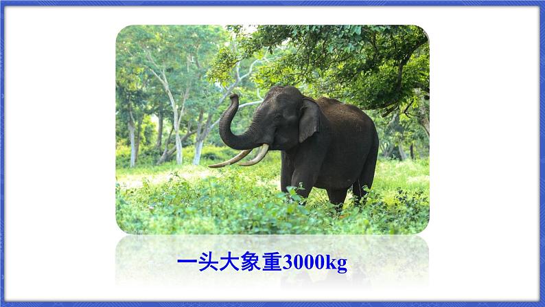 1.7 近似数 课件-2024-2025学年沪科版数学七年级上册03
