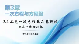 3.4 二元一次方程组及其解法 第1课时  课件-2024-2025学年沪科版数学七年级上册