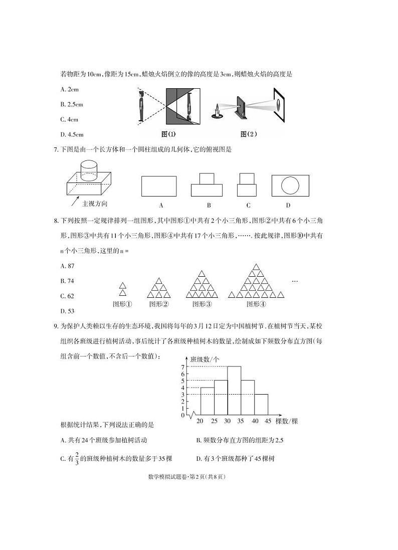 云南省昭通市永善县2024届九年级下学期中考二模数学试卷(含答案)第2页