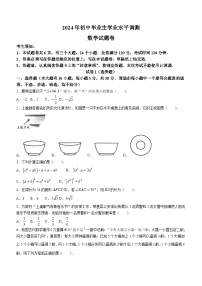 浙江省绍兴市上虞区2024届九年级下学期中考二模数学试卷