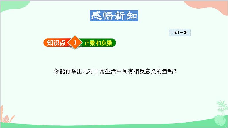 1.1.1 正数和负数 华师大版数学七年级上册课件第5页