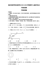 重庆市渝中学区实验学校2023-2024学年数学八上期末学业水平测试试题【含解析】
