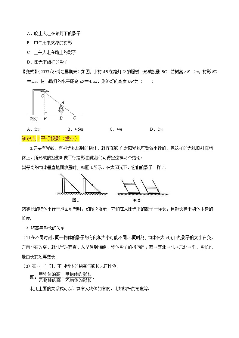 专题18 投影 (4个知识点3种题型1种中考考法)-2024年九年级数学上册讲义(北师大版)03