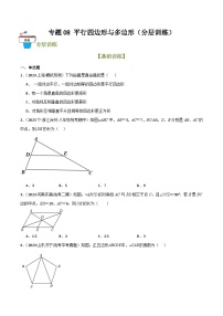 专题08 平行四边形与多边形（分层训练）-2024年中考数学总复习重难考点强化训练（全国通用）