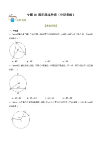 专题10 圆的基本性质（分层训练）-2024年中考数学总复习重难考点强化训练（全国通用）