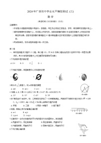 广西2024届九年级下学期初中学业水平模拟测试（三）数学试卷(含答案)