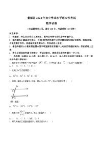 湖北省随州市曾都区2024届九年级下学期中考三模数学试卷(含答案)