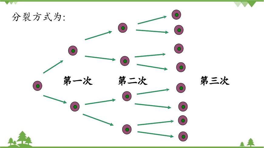 2.3 有理數(shù)的乘方課時(shí)1 人教版數(shù)學(xué)七年級上冊課件第6頁