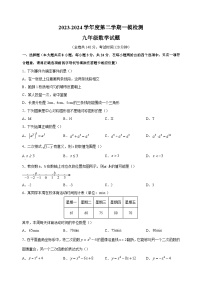 2024年江苏省徐州市中考一模数学试题（含答案）