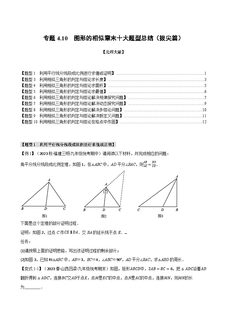 专题4.10图形的相似章末十大题型总结(拔尖篇)-2024-2025学年九年级数学上册举一反三系列(北师大版)01