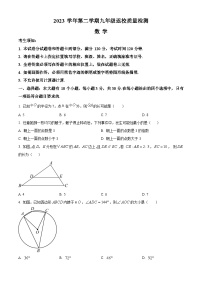 浙江省温州市龙湾九校联考2023-2024学年九年级下学期返校质量检测数学试题(原卷版+解析版)
