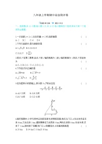 北师大版八年级上学期数学期中单元测试卷(含答案)