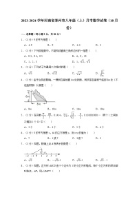 2023-2024学年河南省郑州市八年级（上）月考数学试卷（10月份）