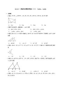 初中数学人教版（2024）八年级上册第十二章 全等三角形12.2 三角形全等的判定同步达标检测题