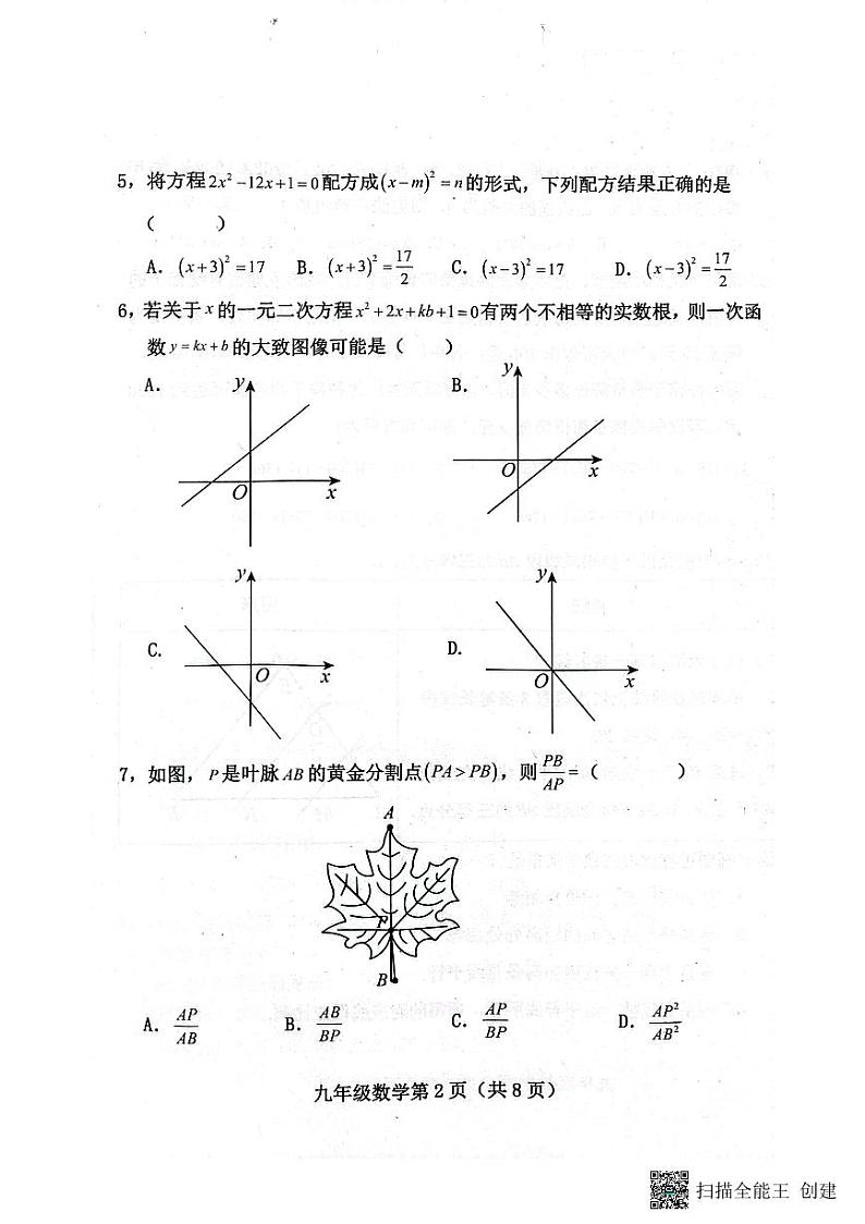 河北省保定市曲阳县2023-2024学年九年级上学期期中考试数学试题02