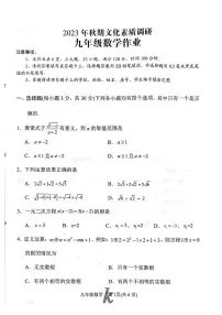河南省南阳市西峡县2023-2024学年九年级上学期11月期中数学试题