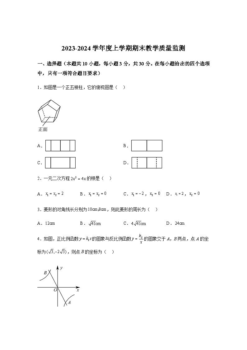 辽宁省丹东市东港市2023-2024学年九年级上学期期末数学试题(含解析)01