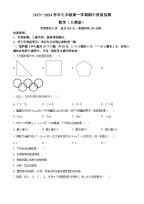河北省廊坊市第十七中学2023-2024学年九年级上学期期中数学试题（解析+原卷）