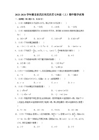 2023-2024学年湖北省武汉市武昌区七年级(上)期中数学试卷