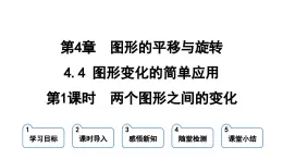 4.4.1 两个图形之间的变化  课件 鲁教版数学八年级上册