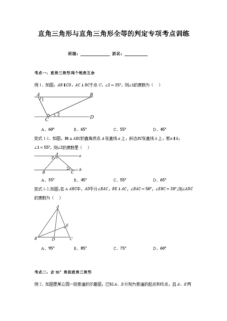 浙教版初中数学八年级上册直角三角形与直角三角形全等的判定专项考点训练第1页