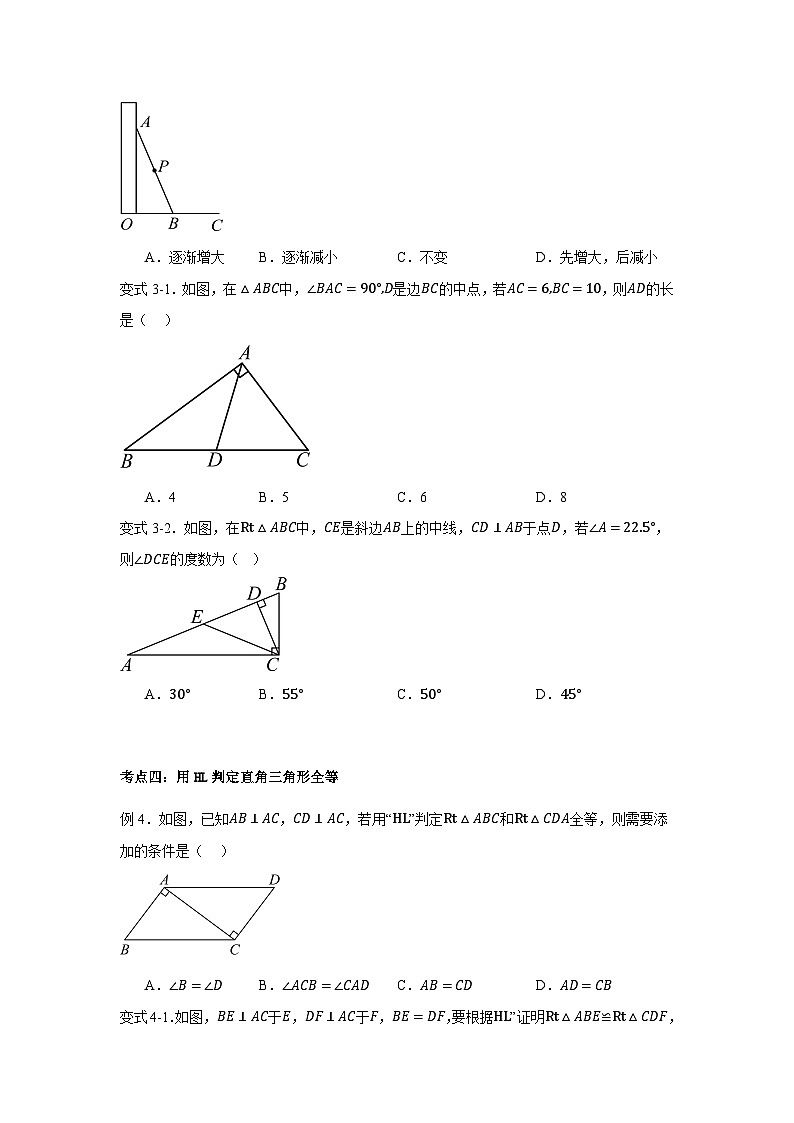 浙教版初中数学八年级上册直角三角形与直角三角形全等的判定专项考点训练第3页