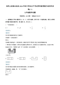 2024 年贵州省铜仁市沿河县九年级中考二模数学试题（解析版）