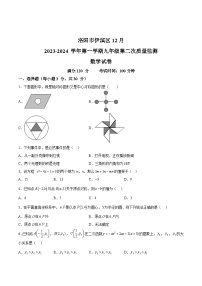 河南省洛阳市伊滨区2024届九年级上学期12月月考数学试卷(含解析)