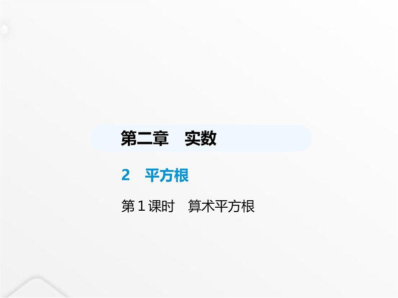北师大版初中八年级数学上册第二章实数2平方根第一课时算术平方根课件第1页