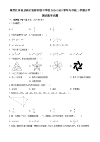 黑龙江省哈尔滨市虹桥初级中学校2024-2025学年九年级上学期开学测试数学试题（原卷版）