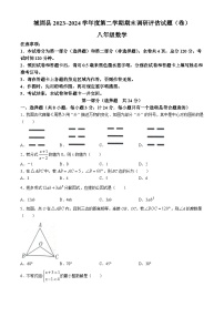 陕西省汉中市城固县2023-2024学年八年级下学期期末数学试题(无答案)