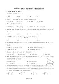 湖南省怡海中学2024-2025学年学八年级上学期入学考试数学试题