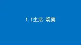 1.1生活观察课件2024-2025学年苏科版数学七年级上册