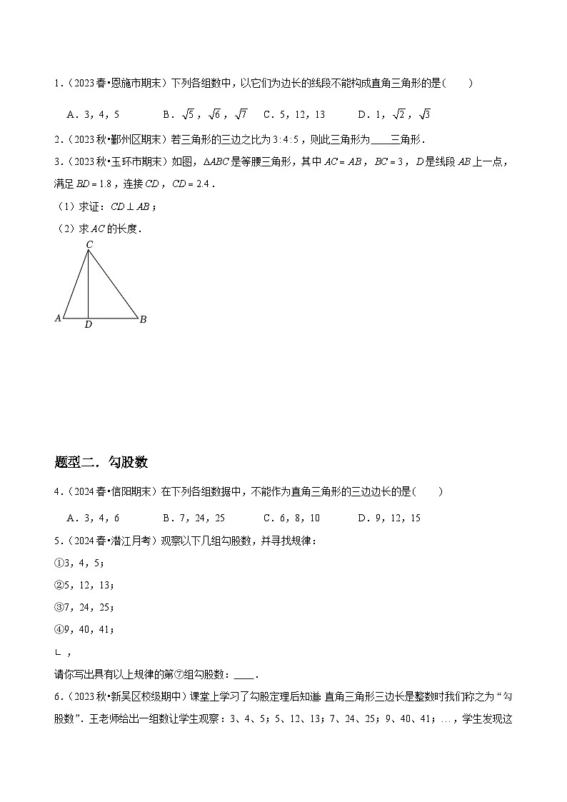 第02讲 一定是直角三角形吗(2个知识点+4种题型+分层练习)02