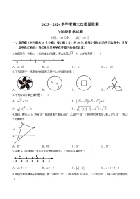 山东省菏泽市鄄城县2024届九年级下学期中考三模数学试卷(含答案)