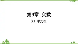 3.1 平方根 浙教版七年级数学上册课件