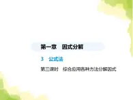 鲁教版八年级数学上册第一章因式分解3第三课时综合应用各种方法分解因式课件