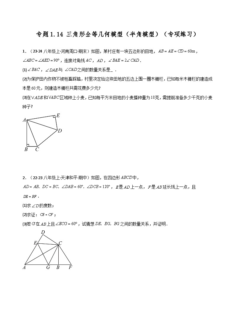 苏科版2024-2025学年八年级数学上册1.14 三角形全等几何模型(半角模型)(专项练习)(含答案)第1页