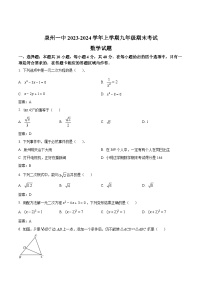 福建省泉州第一中学2024届九年级上学期期末考试数学试卷(含答案)