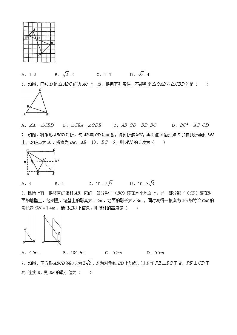 河南省郑州市第四初级中学2024-2025学年九年级上学期第一次月考数学试题(无答案)第2页