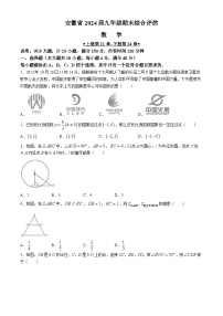 安徽省2024-2024学年九年级上学期期末综合评估数学试题