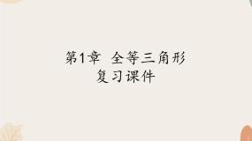 青岛版（2024）八年级上册1.1 全等三角形复习课件ppt