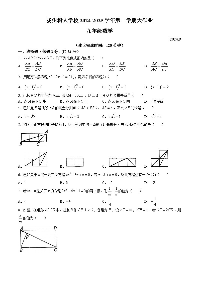 江苏省扬州中学教育集团树人学校2024-2025学年九年级上学期月考数学试题(无答案)01