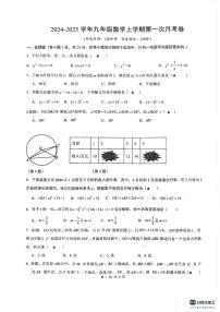 +江苏省宿迁经济技术开发区厦门路实验学校2024-2025学年上学期九年级第一次月考数学试卷