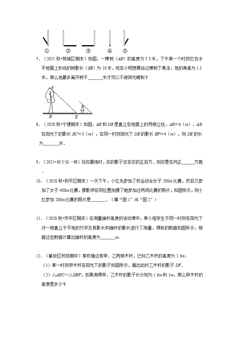 北师大版九年级数学上册《同步考点解读•专题训练》专题5.1投影(专项训练)(原卷版+解析)第2页
