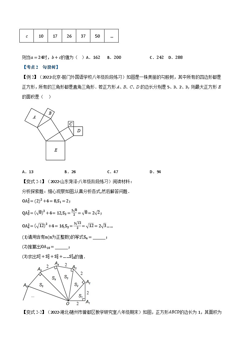 苏科版八年级数学上册举一反三系列专题7.3期中期末专项复习之勾股定理十八大必考点特训(原卷版+解析)第2页