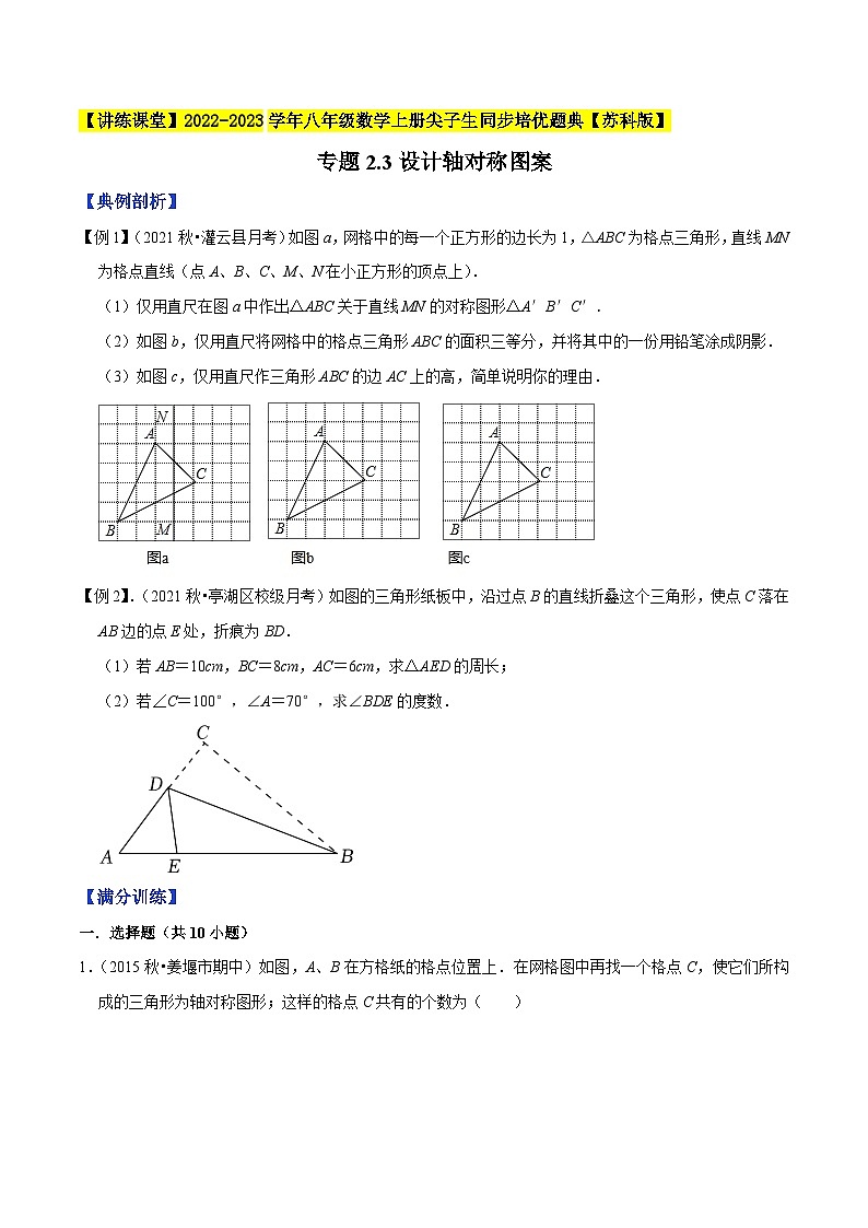 苏科版八年级数学上册尖子生同步培优题典专题2.3设计轴对称图案特训(原卷版+解析)第1页