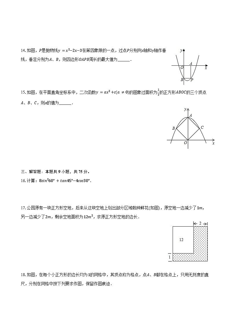 2024-2025学年吉林省长春市东北师大附中净月校区慧泽学校九年级(上)第一次月考数学试卷(含解析)第3页