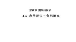 4.6 利用相似三角形测高 数学北师大版 九年级上册教学课件